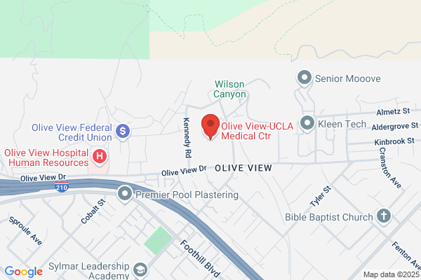 Olive View Investment Inc
