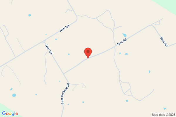 Neri Place the