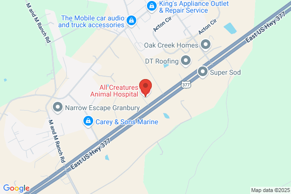 All Creatures Animal Hospital