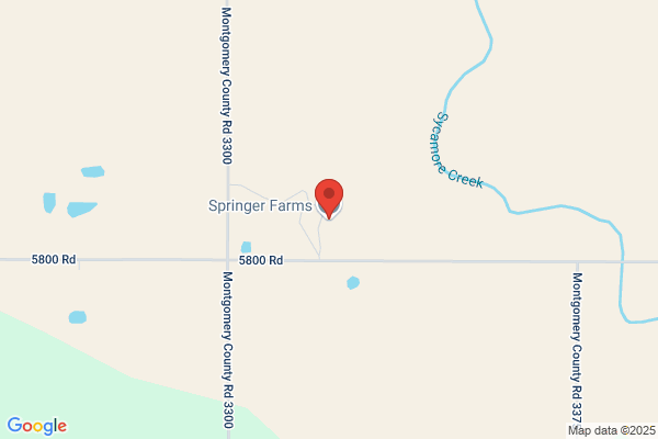 Springer Holstein Farms
