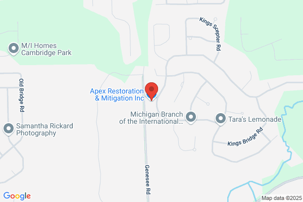 Apex Restoration & Mitigation Inc.