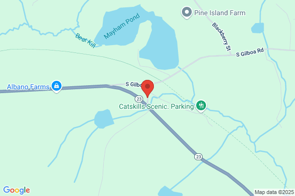 Primavera Enterprises