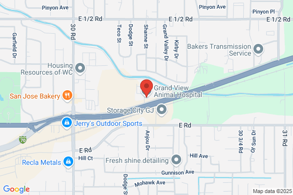Grand View Animal Hospital