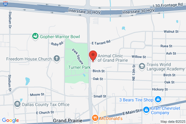 Animal Clinic of Grand Prairie