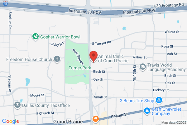 Animal Clinic of Grand Prairie