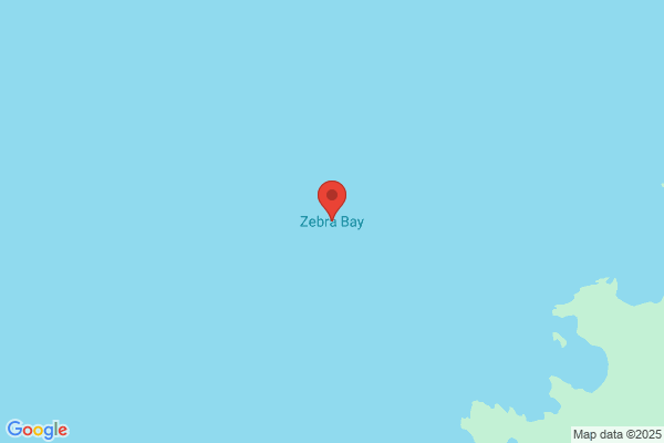 Zebra Bay