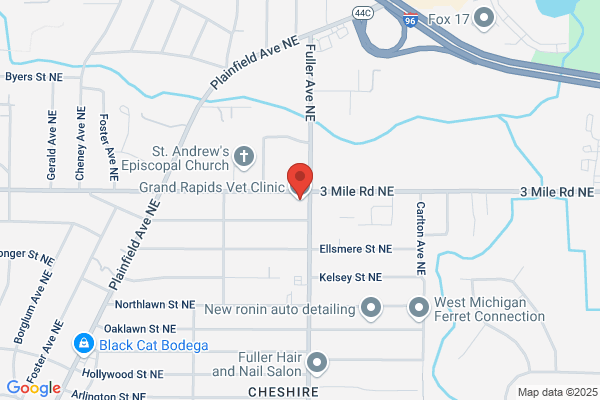 Grand Dental Care-Grand Rapids