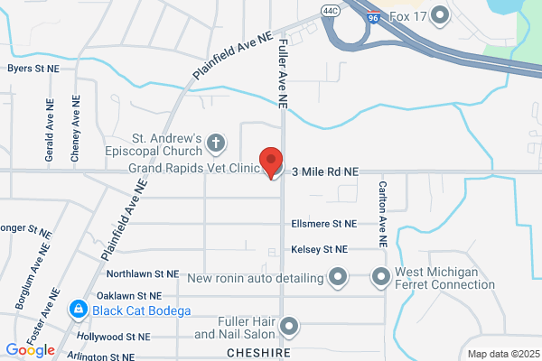 Trusted Dental Center By Bowtie Dental