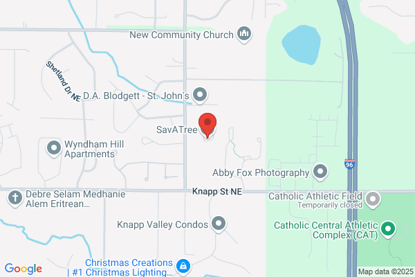 West Michigan Tree Services