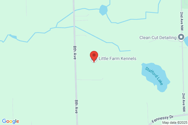 Little Farm Kennels