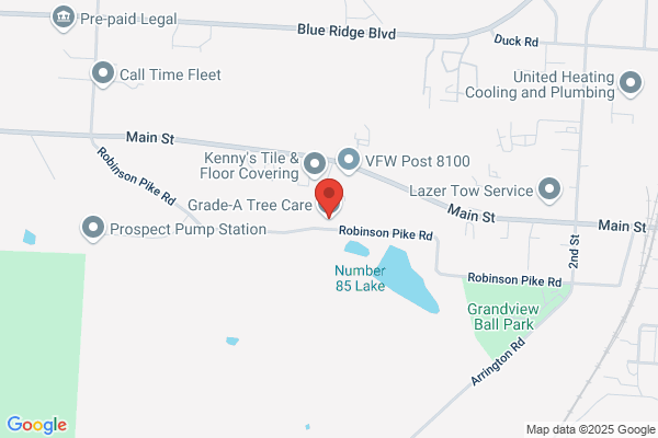 Alpha Tree Care