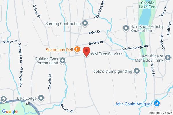 WM Tree Services