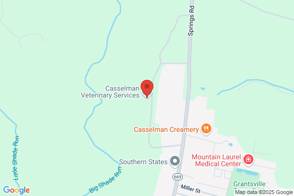 Casselman Veterinary Services Inc