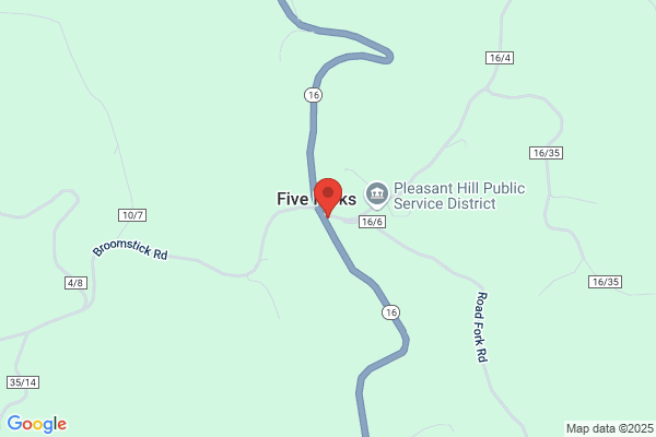 Five Forks Store