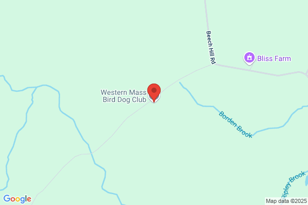 Western Mass Bird Dog Club
