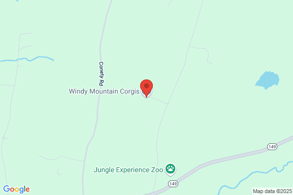 Windy Mountain Kennels