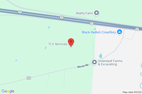 Tlv Services Inc