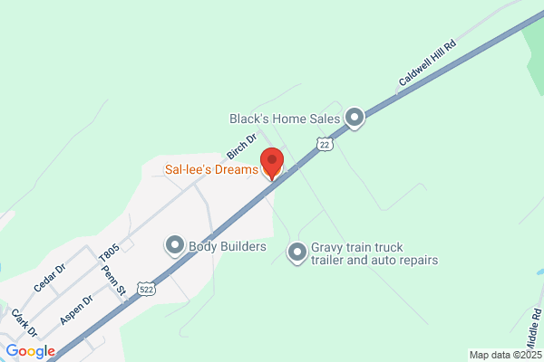Sal-lee's Dreams