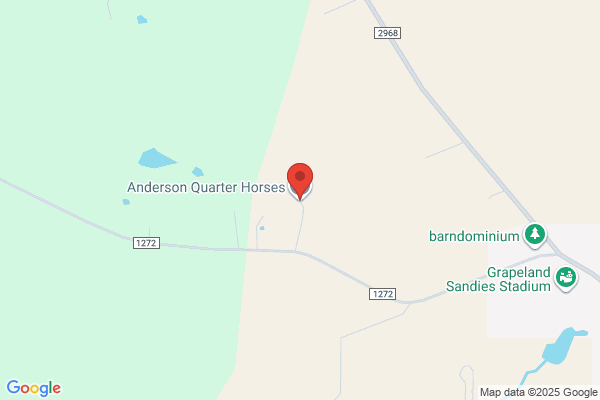 Anderson Quarter Horses