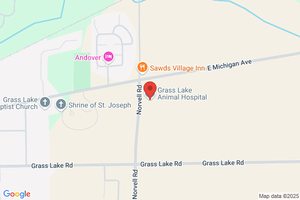 Grass Lake Animal Hospital