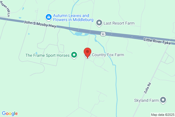 Country Fox Kennels