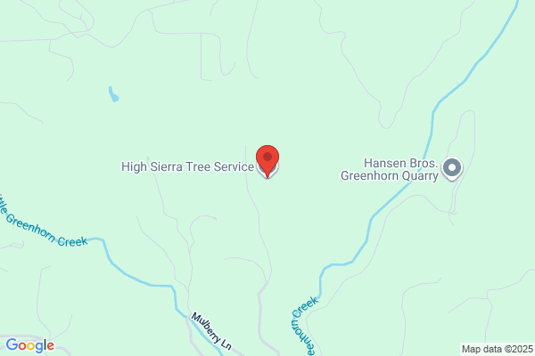 High Sierra Tree Service