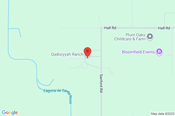 Qadisiyyah Ranch