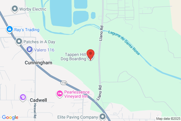 Tappen Hill For Dogs