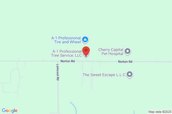 A 1 Professional Tree Service