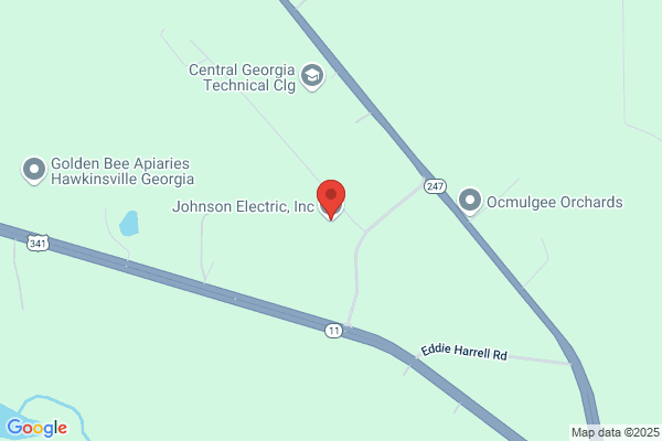 Johnson Electric