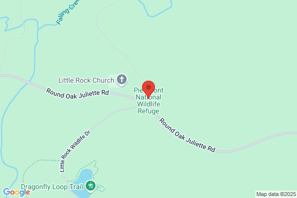Piedmont National Wildlife Refuge