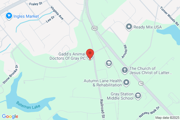 Animal Doctors of Gray