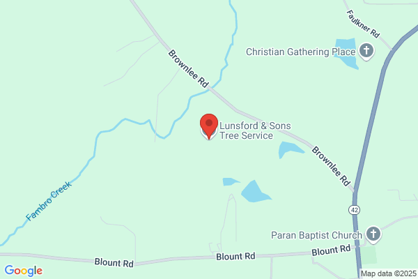 Lunsford Tree Service
