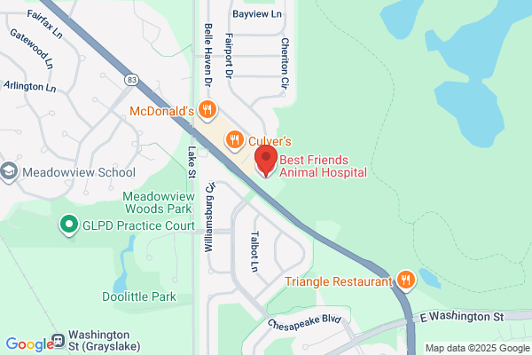 Best Friends Animal Hospital