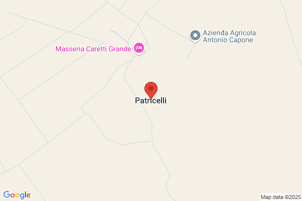 Patricelli Paul