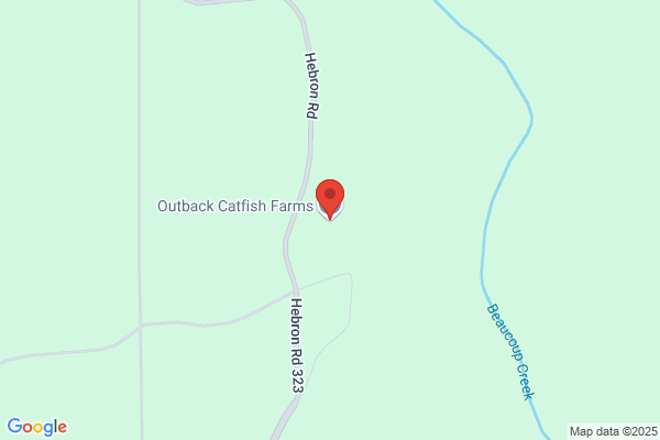 Outback Catfish Farms