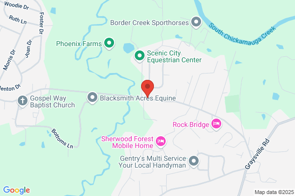 Mystery Dog Ranch