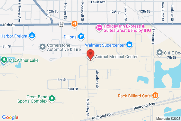 Animal Medical Center