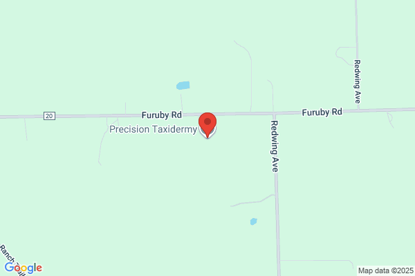 Precision Taxidermy