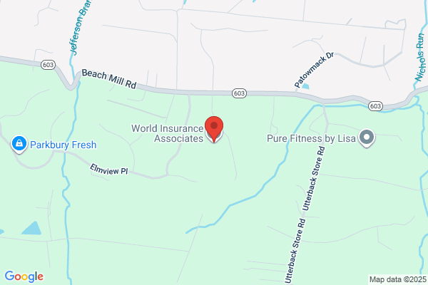 World Insurance Associates LLC
