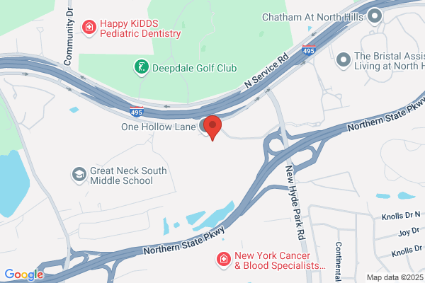 Manhattan Spine & Pain Medicine- New Hyde Park