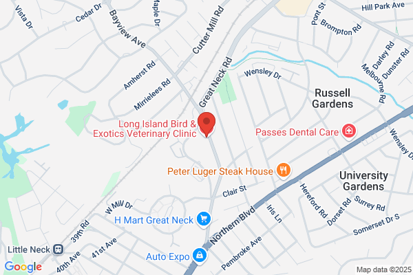Long Island Bird & Exotics Veterinary Clinic