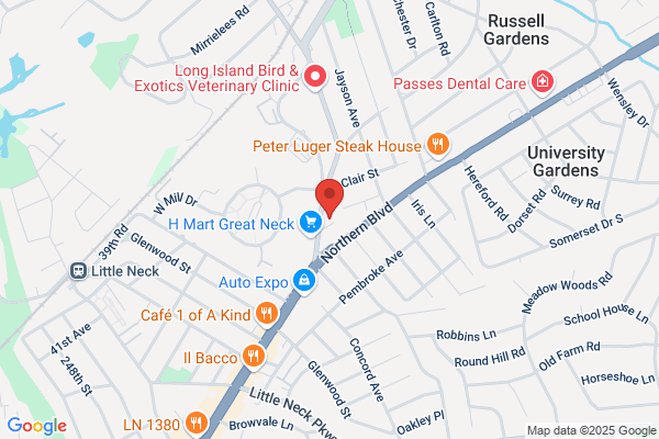 Auto Repair of Great Neck