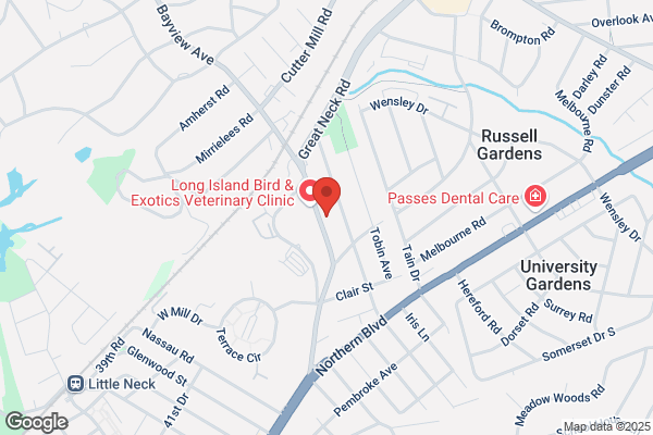 Great Neck Florist