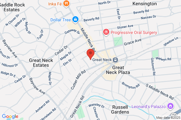 Great Neck Plaza Inc Village of