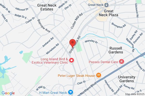 111 Great Neck Road