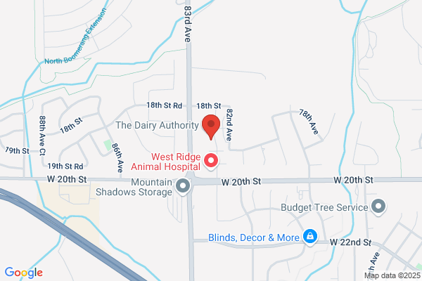 Curtiss Insurance Agency Inc