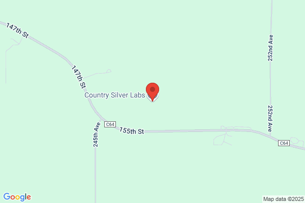 Country Silver Labs