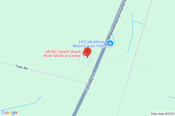 MUSC Health Surgical Associates - Kingstree