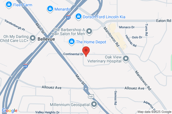 Bellevue Auto Service